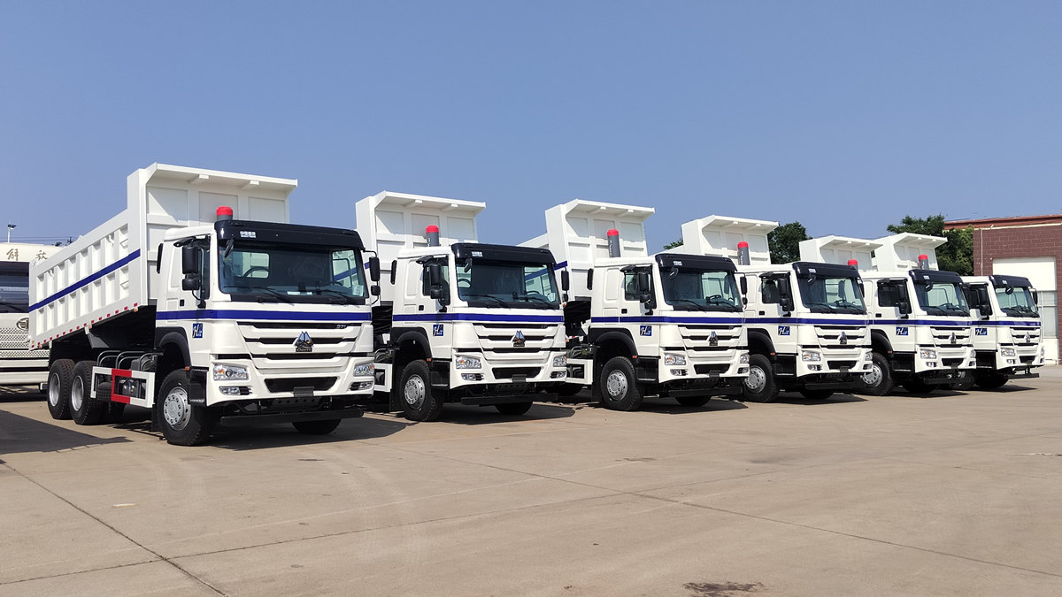 Πελάτης από τη Σαουδική Αραβία επιθεωρεί ανατρεπόμενο φορτηγό HOWO 20 τόνων